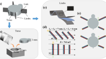 Sea Turtle-inspired Magnetic Soft Robot Demonstrates Versatile Land-to ...