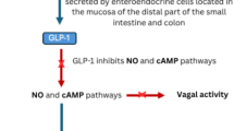 glp-1 dpp 4 combination Development of a treatment selection algorithm for SGLT2 and DPP-4 inhibitor therapies in people with type 2 diabetes: a retrospective cohort study glp-1 dpp 4 combination Development of a treatment selection algorithm for SGLT2 and DPP-4 inhibitor therapies in people with type 2 diabetes: a retrospective cohort study
