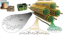 Polyplant Comprehensive review on plant fiber-reinforced polymeric biocomposites ...