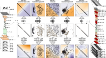Quanvolutional Neural Network Applied to MNIST | Springer Nature Link ...