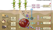 research paper on soil analysis pdf