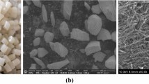 Investigation into the development and utilization of snail shell ...