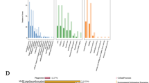 Genome-wide identification and expression analysis of the DREB gene ...