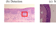 medical image processing research papers 2021