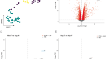 Uterine fibroids are characterized by an impaired antioxidant cellular  system: potential role of hypoxia in the pathophysiology of uterine fibroids  | Journal of Assisted Reproduction and Genetics | Springer Nature Link