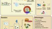 A comprehensive review on mycoprotein-based meat analog production ...
