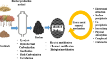Machine learning assisted adsorption performance evaluation of biochar ...