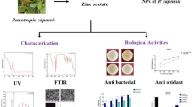 Optimization and characterization of eco-friendly formulated ZnO NPs in ...