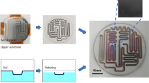 Springer Device Microfluidic Devices: Harnessing the Power of Tiny Devices in Analysing ...