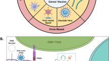 Cancer vaccines: an update on recent achievements and prospects for ...