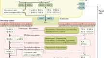 research progress of bile acids in cancer