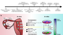 articles against embryonic stem cell research