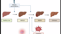Changes in hepatic L-carnitine levels in people with metabolic dysfunction-associated steatotic liver disease (MASLD) assessed by magnetic resonance techniques