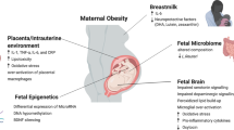 literature review on nutritional anemia