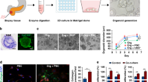 case study about lung cancer