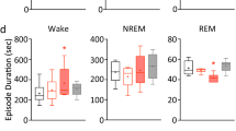 research on sleep and memory