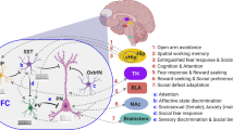 development of the dopamine hypothesis of schizophrenia