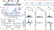 memory hypothesis