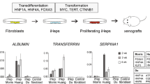 ABSTRACT The transformation of Wistar rat embryo cells _in vitro_ has been studied in passaged cultures using two criteria for transformation: (1) the ability of cells to form colonies in soft agar and (2) the ability of cells to form tumours in young syngeneic animals. In general there was good correlation between the two criteria. Spontaneous transformation was observed in all untreated cultures by 44 weeks although, by not allowing the cells to become confluent, the tendency was for cultures to transform earlier (i.e. 15-21 weeks). It was noticeable that despite untreated cultures having been _in vitro_ for different lengths of time, most cultures transformed after a similar number of passages (42-50). Treatment of the embryo cells with the alkylating agent nitrosomethylurea (NMU) or benzo(alpha)pyrene (BP) sometimes resulted in transformation after a shorter period _in vitro_ than the controls (minimum 12 weeks) although some treated cultures took longer. Transformed cells produced transplantable fibrosarcomata in syngeneic hosts and those arising from NMU transformed cells were histologically different from those arising from spontaneously transformed cells. The significant of spontaneous transformation in _in vitro_ rat cell transformation systems is discussed. Access through your institution Buy or subscribe This is a preview of subscription content, access via your institution ACCESS OPTIONS Access through your institution Subscribe to this journal Receive 24 print issues and online access $259.00 per year only $10.79 per issue Learn more Buy this article * Purchase on SpringerLink * Instant access to full article PDF Buy now Prices may be subject to local taxes which are calculated during checkout ADDITIONAL ACCESS OPTIONS: * Log in * Learn about institutional subscriptions * Read our FAQs * Contact customer support SIMILAR CONTENT BEING VIEWED BY OTHERS HUMAN CELL TRANSFORMATION BY COMBINED LINEAGE CONVERSION AND ONCOGENE EXPRESSION Article Open access 23 July 2021 RESTRICTING EPIGENETIC ACTIVITY PROMOTES THE REPROGRAMMING OF TRANSFORMED CELLS TO PLURIPOTENCY IN A LINE-SPECIFIC MANNER Article Open access 14 July 2023 ABOUT 4-DAY RHYTHM OF PROLIFERATIVE ACTIVITY OF FIBROBLAST-LIKE CELL CULTURES ISN’T ENDOGENOUS AND DON’T DEPEND FROM THE VARIATIONS OF EARTH’S MAGNETIC FIELD Article Open access 03 May 2022 Authors * D J Kirkland View author publications You can also search for this author inPubMed Google Scholar * C Armstrong View author publications You can also search for this author inPubMed Google Scholar * R J Harris View author publications You can also search for this author inPubMed Google Scholar RIGHTS AND PERMISSIONS Reprints and permissions ABOUT THIS ARTICLE CITE THIS ARTICLE Kirkland, D., Armstrong, C. & Harris, R. Spontaneous and chemically induced transformation of rat embryo cell cultures. _Br J Cancer_ 31, 329–337 (1975). https://doi.org/10.1038/bjc.1975.67 Download citation * Issue Date: 01 March 1975 * DOI: https://doi.org/10.1038/bjc.1975.67 SHARE THIS ARTICLE Anyone you share the following link with will be able to read this content: Get shareable link Sorry, a shareable link is not currently available for this article. Copy to clipboard Provided by the Springer Nature SharedIt content-sharing initiative