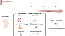 Feasibility of intranasal human milk as stem cell therapy in preterm ...