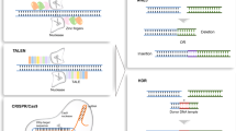 crispr cas9 research