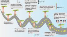 Hypoxia- and Postirradiation reoxygenation-induced HMHA1/ARHGAP45 ...