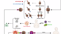 autoimmune diseases research articles