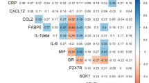 difference between meta analysis and a literature review