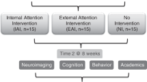  Decreased impulsiveness and MEG normalization after AI-digital therapy Illustration 