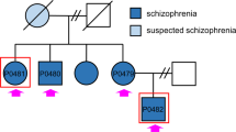 psychology czech twins case study