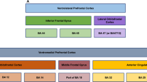 bipolar disorder research paper thesis