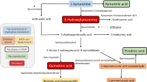 disease hypothesis of depression