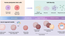 covid 19 disease research paper covid 19 disease research paper