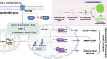 acetyl l carnitine antidepressant Upregulation of mGlu2 Receptors via NF-κB p65 Acetylation Is Involved in the Proneurogenic and Effects of Acetyl-L-Carnitine Size:3x60g GloFusion Clinic (@glofusionclinic) • cartinie