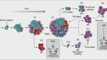 essay on cancer cells