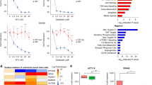 glutathione platinum resistance Glutathione-Mediated Conjugation of Anticancer Drugs: An Overview of Reaction Mechanisms and Biological Significance for Drug Detoxification and Bioactivation Redox Modulating Formula (RMF) The Drug-Resistance Mechanisms of Five