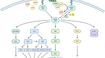 thesis cell line