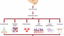 Semaglutide promotes angiogenesis and blood–brain barrier repair after traumatic brain injury via PDGF-BB/PDGFRβ/Ang1/Tie2/VEGF signaling pathway