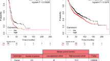 new research on creatine