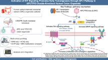 Molecular imaging of aberrant crypt foci in the human colon targeting glutathione S-transferase P1-1