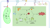 ghk-cu immunogenicity antibody response Enhanced angiogenic effects of RGD, GHK peptides and copper (II) compositions in synthetic cryogel ECM model Are We Ready to Measure