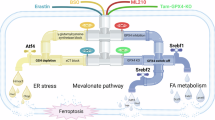 cf and glutathione Serum Reductase Cystic Fibrosis chicory The Microbiota–Gut–Brain Axis: Key Color:Soap