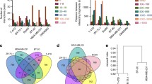 research breast cancer gene research breast cancer gene