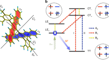 Modelling Non-Markovian Quantum Systems Using Tensor Networks ...