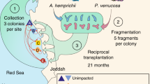 current research in microbiology impact factor