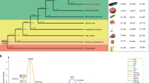 research paper on citrus fruit