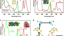 artificial photosynthesis