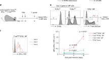 the presentation of antigens