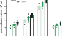 the structure of a case study