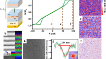 Real-space observations of 60-nm skyrmion dynamics in an insulating magnet under  low heat flow